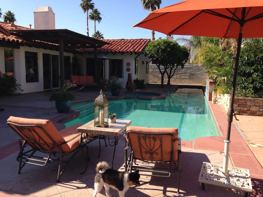 View of the pool and main house