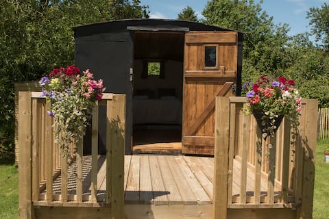 Successful Airbnb property: Original 1870's showman's wagon with own field in West Dorset