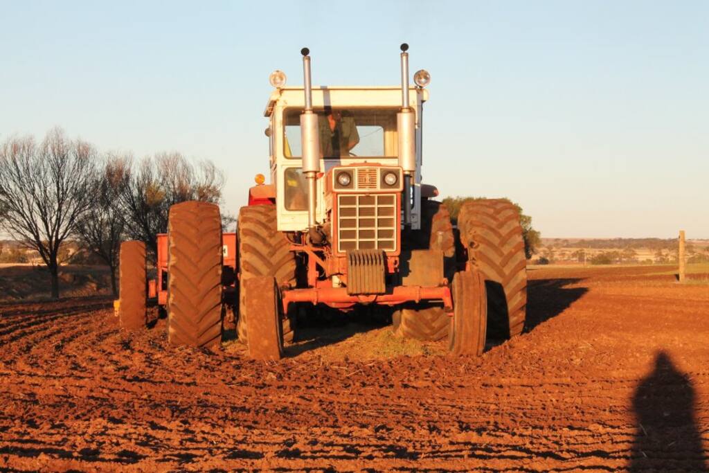 Working farm..seeding