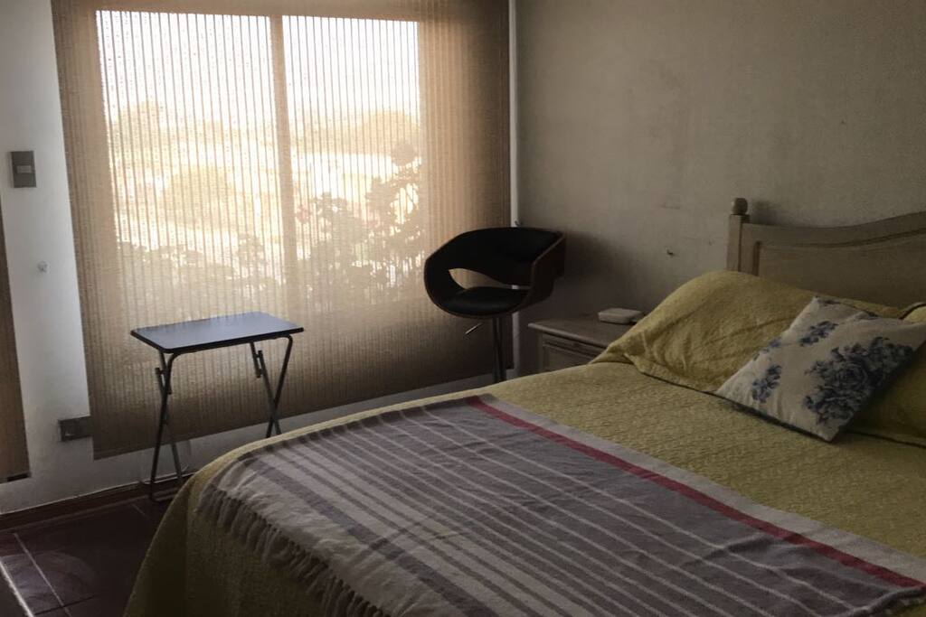 Cortinas Rollers