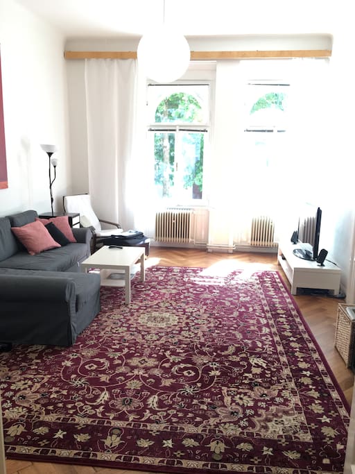 Sunny and huge living room with pull-out couch, TV