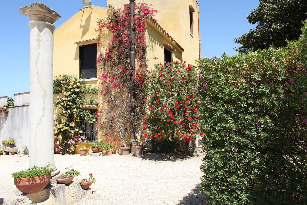 Dettagli e scorci giardino e parco