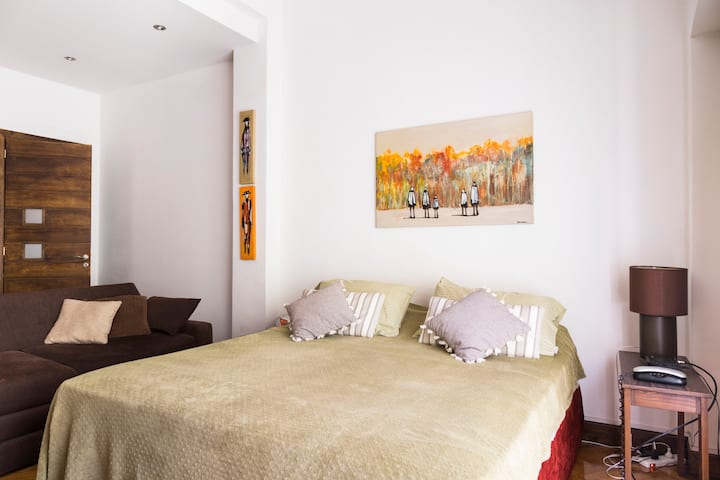 Large studio apartment in Recoleta