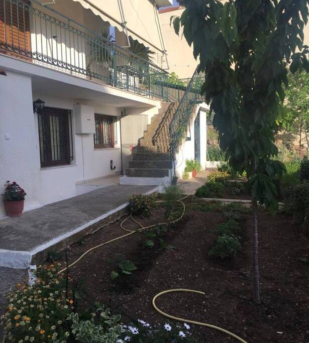 Garden in front of the house