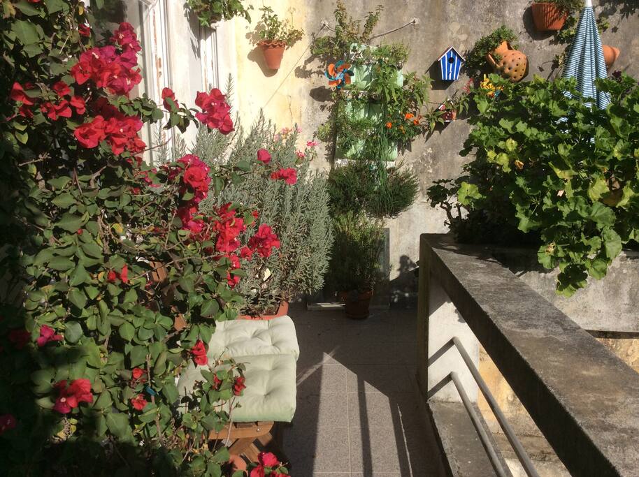 terrace first floor