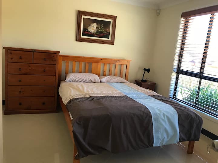 Araliya (Frangipani) - Blacktown