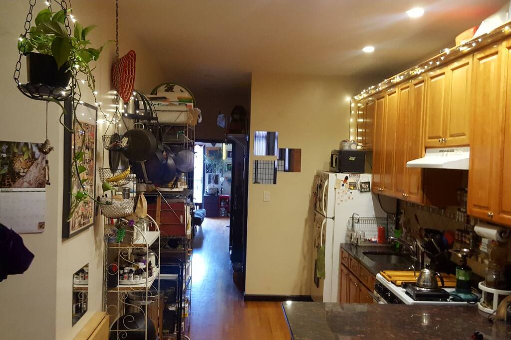 kitchen and hallway to bathroom on the right, bedroom and back door.