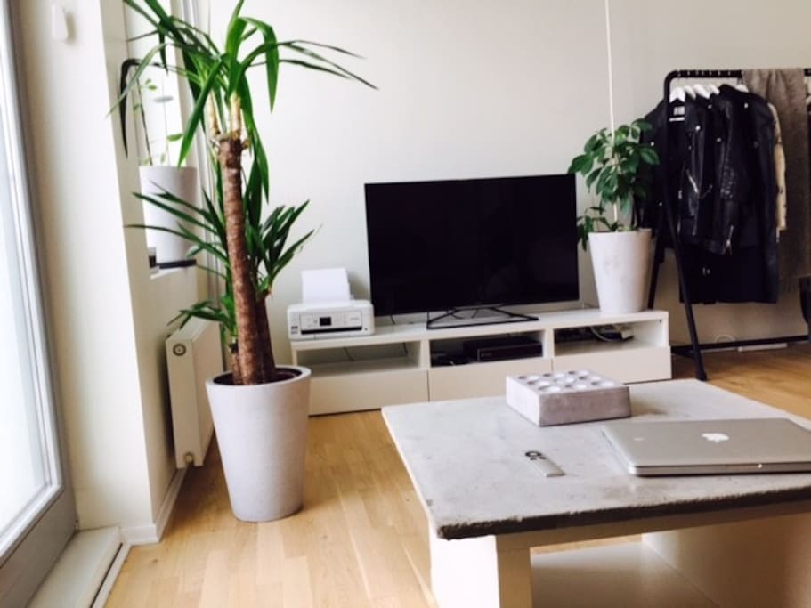 TV, high speed internet etc
