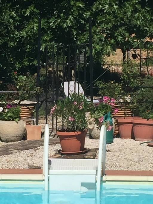 Pool towards the house