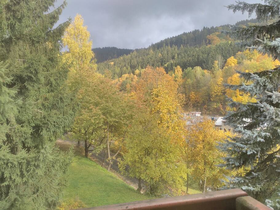 View from Apt B