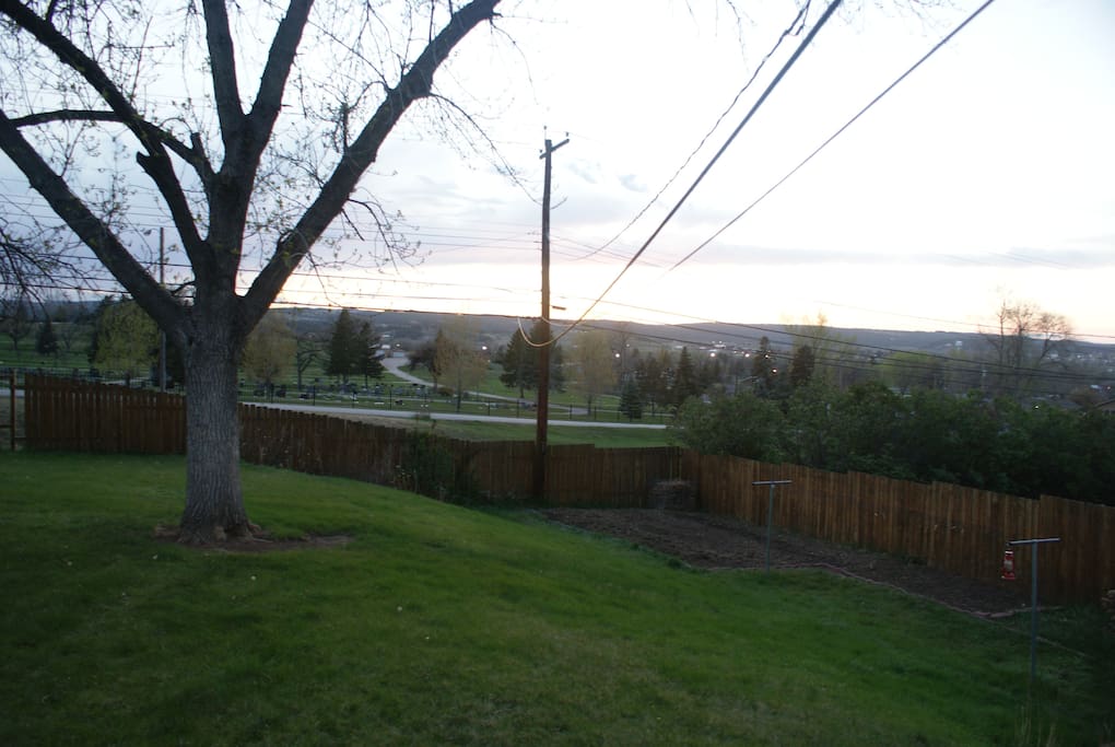 Back Yard