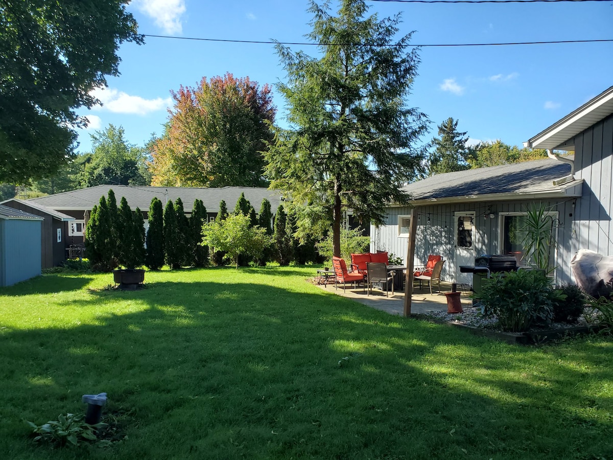 A spacious backyard is framed by lush green grass and a variety of trees, offering a serene environment. A patio with red seating and a grill is situated near the house, providing opportunities for outdoor relaxation and dining. Clear blue skies and sunlight enhance the inviting atmosphere.
