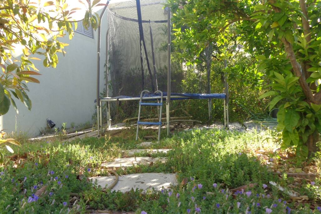 trampoline