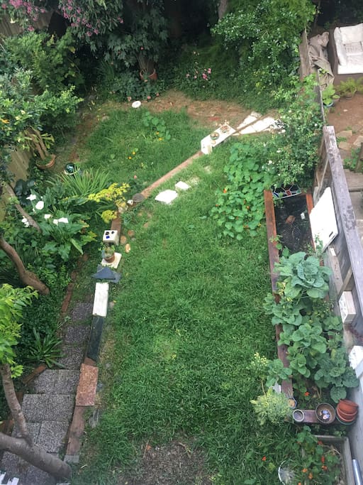 Big Yard. Nice place to relax and meditate but also has heavy weight bag, and too much Croatian Cabbage