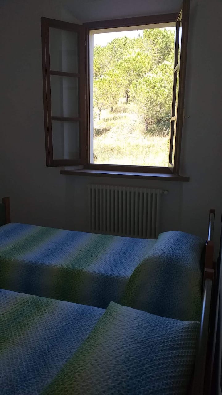 Chambre 2