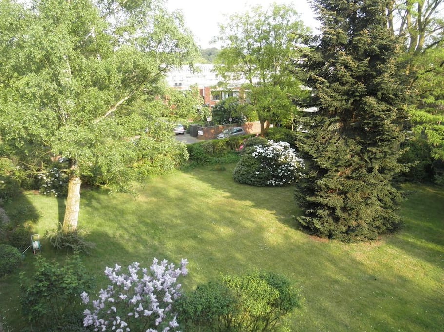 Gartenblick / garden view