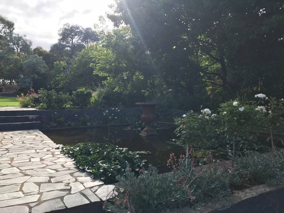Front Garden