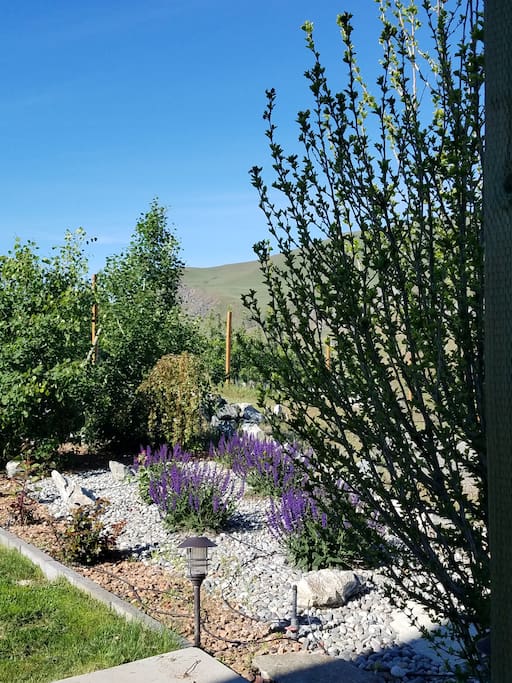 Front Garden