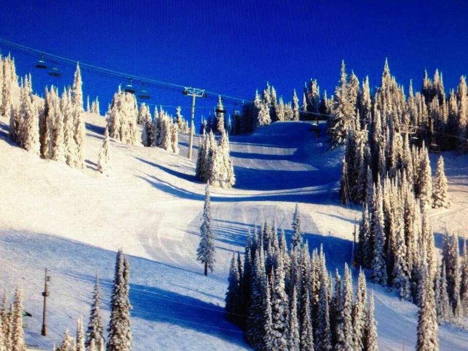 Don't forget your sunglasses for this beautiful day up the hill