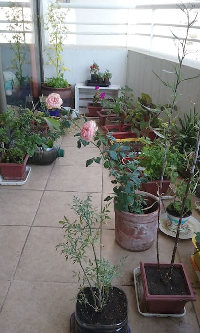 Huerta