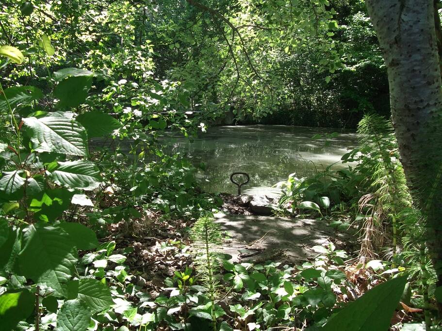 Espace bucolique et calme garanti pour déstresser.