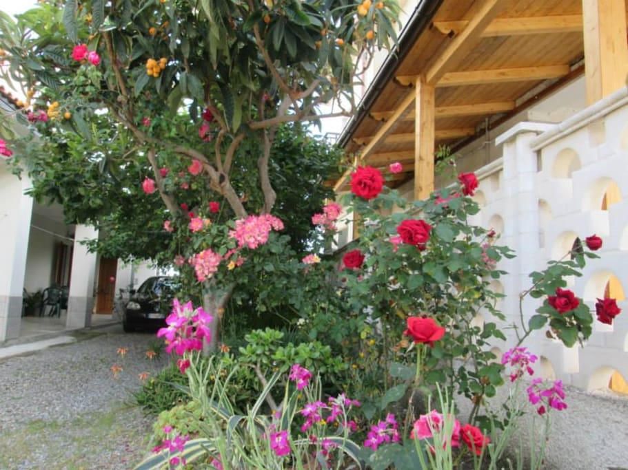 giardino