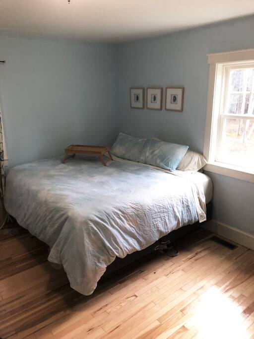 Downstairs Bedroom