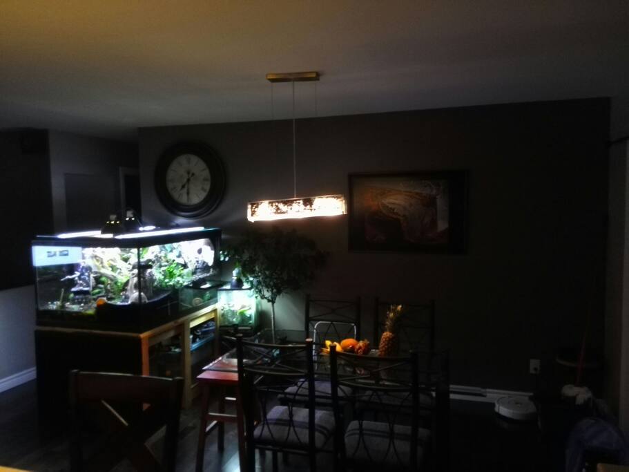 Dining room and vivarium