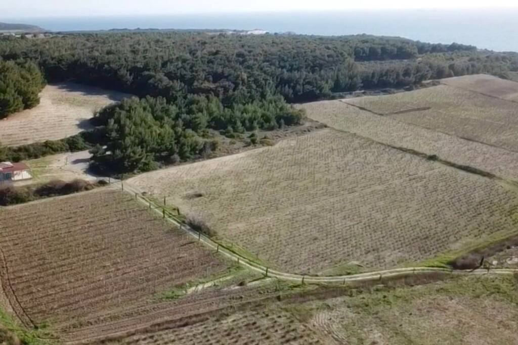 February 2018 Aerial view