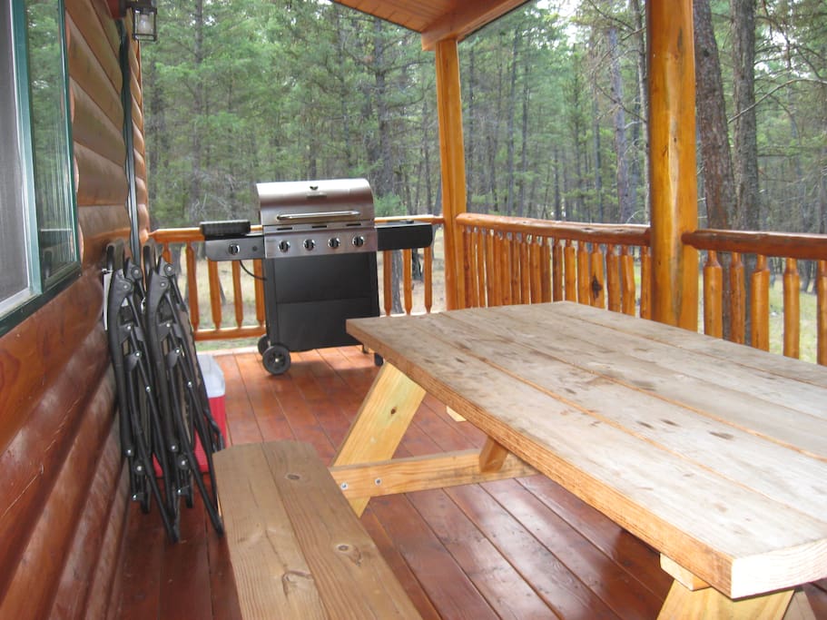 Enjoy the back porch with picnic table, stainless steel gas grill, two anti-gravity lounge chairs and two coolers for your day excursions.