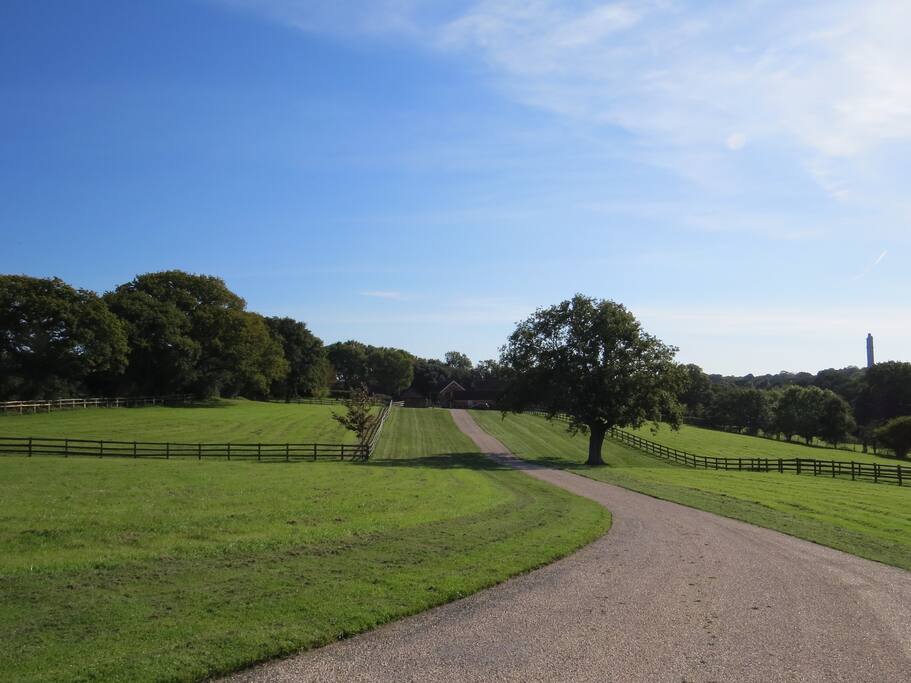 As the gate opens, the drive to Kings Farm and the Barn