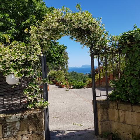 POSILLIPO IN VILLA WITH VIEW GARDEN gallery image 2