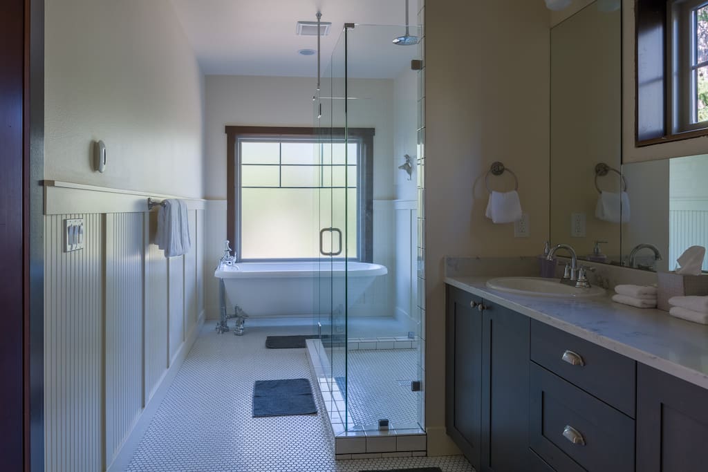 Downstairs master bathroom