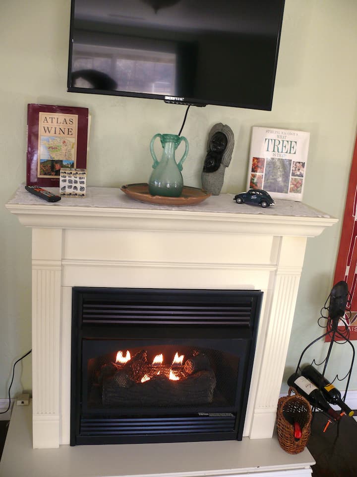 مكان حريق بالغاز (يحتوي الكوخ على تدفئة مركزية/مكيف هواء)