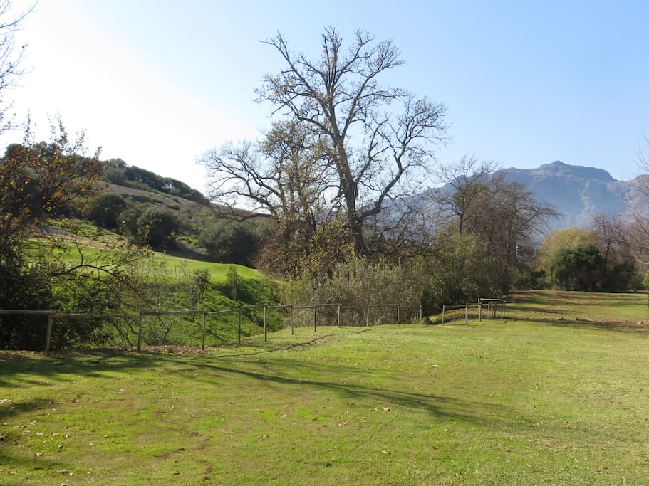 View from property pool