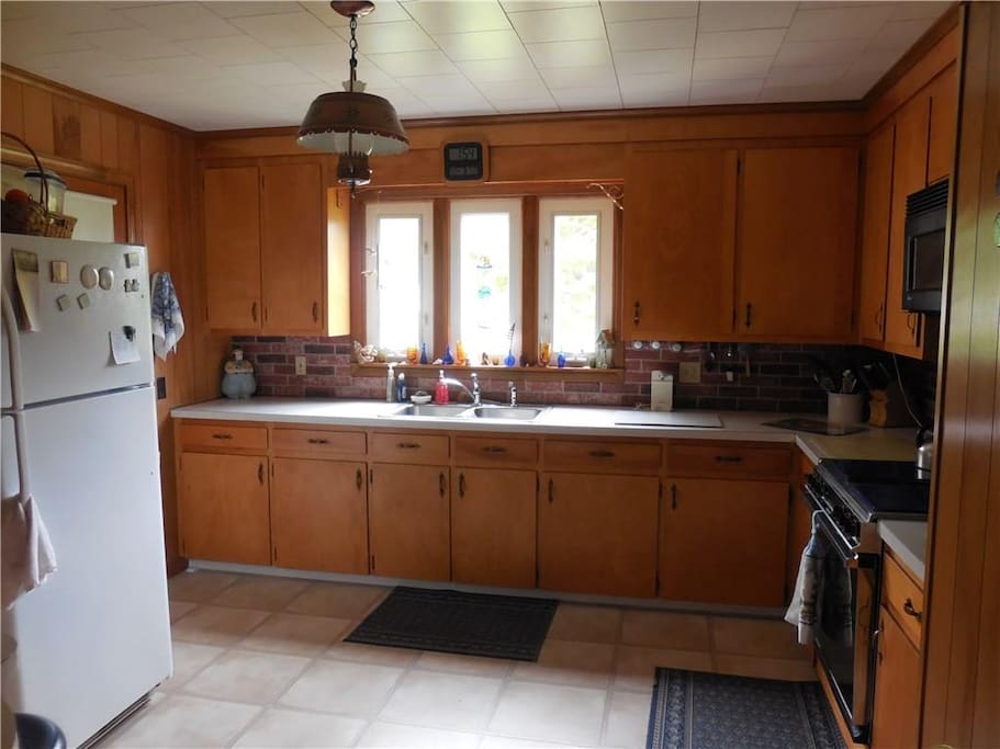 A large kitchen with gas stove and view of ferns