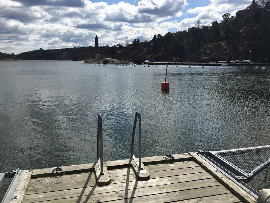 Brygga 50 meter från tomten