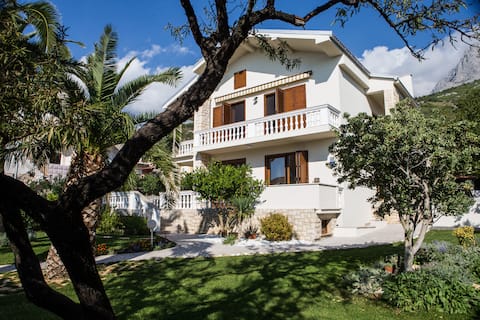 Home Holiday Markota