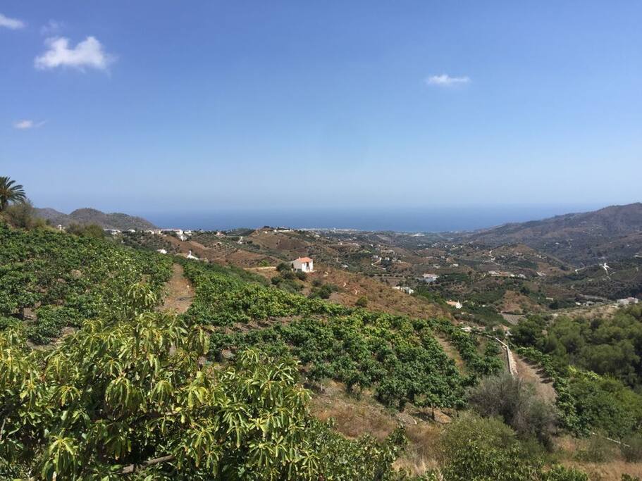 vistas desde el apartamento