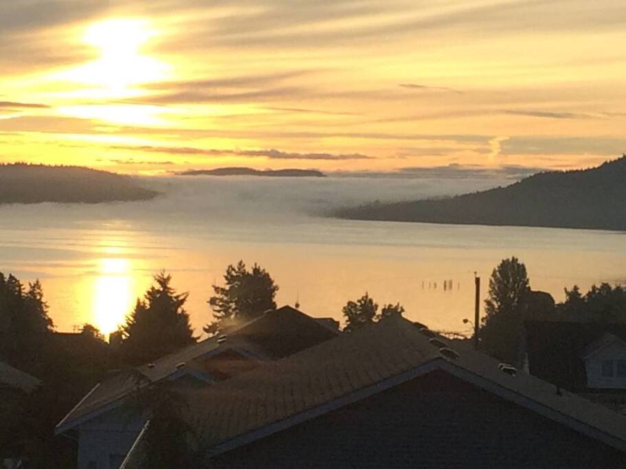 Gorgeous views of Saltspring Island through two huge bay windows.