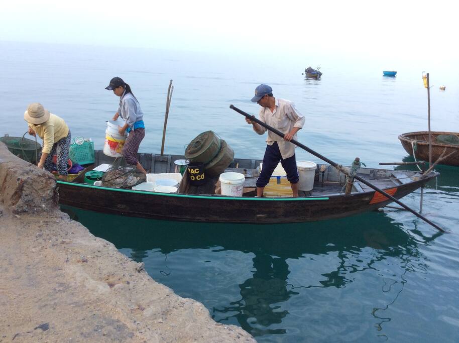 Fishing activity