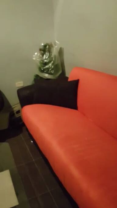 Sofa bed
