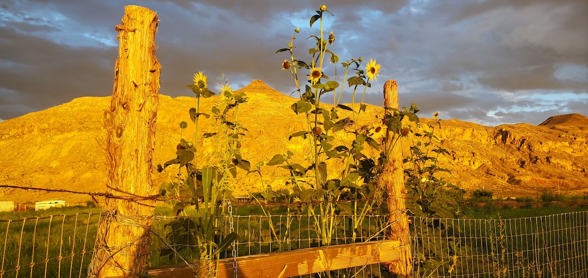 A rustic wooden fence is adorned with sunflowers, gently rising towards the sky. The mountains in the background are bathed in warm golden light, creating a serene rural landscape. The image captures the essence of the surrounding desert farmland.