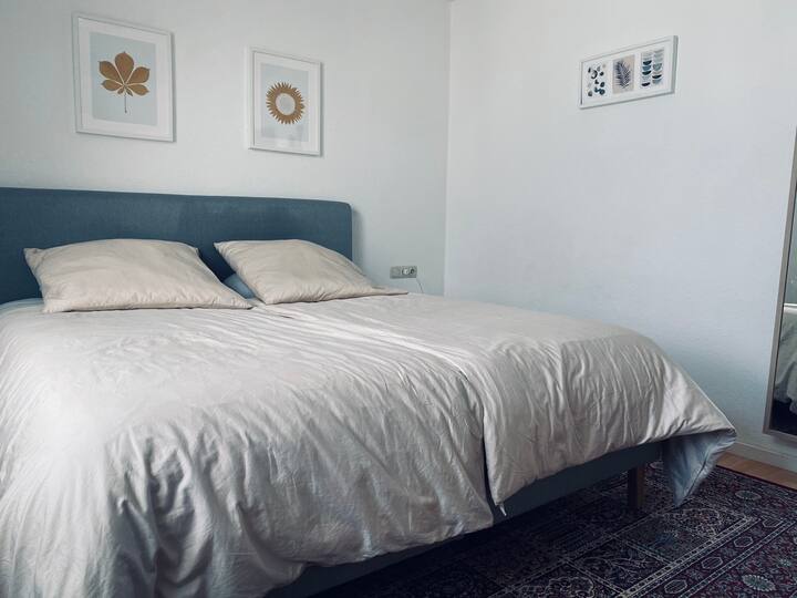 Great bright apartment in a central location Apartments for Rent in