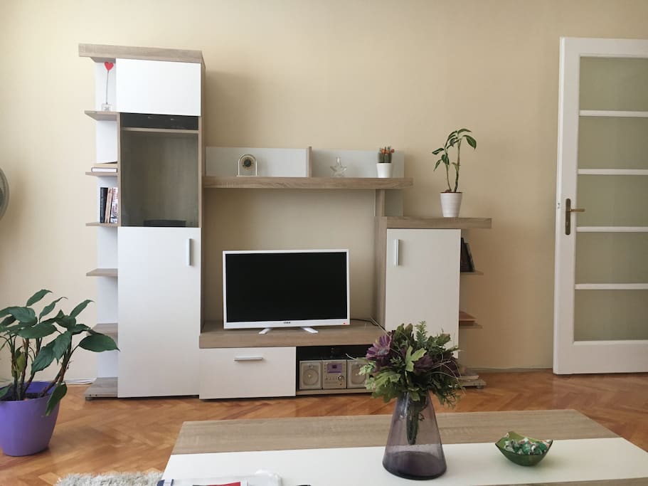 TV in the living room