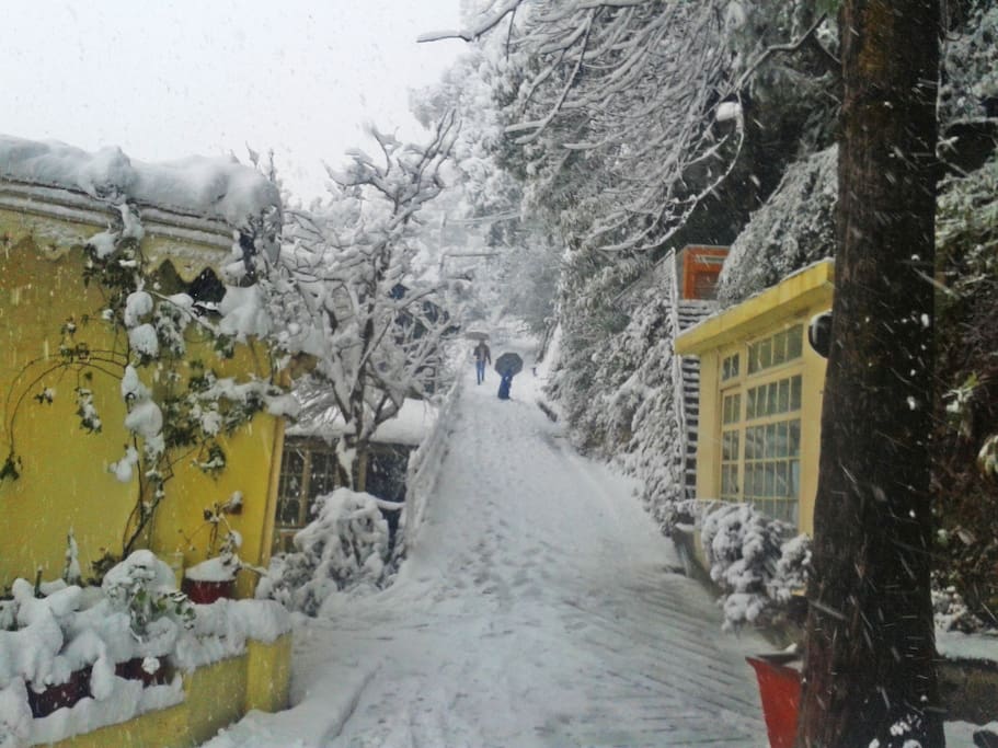 View during winters