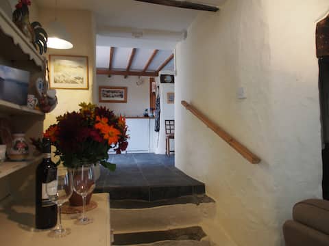 Tyddyn Truan - a country cottage