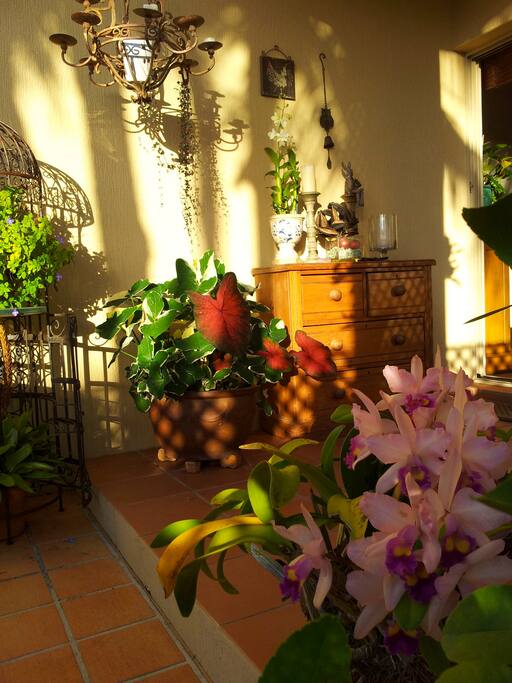 Under cover patio with hanging chair
