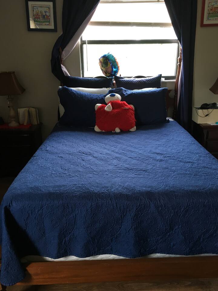 В близост до атракции като Sea World Disney – изображение 1