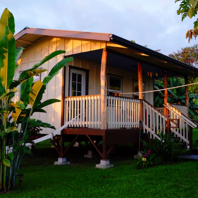 Cabin Exterior